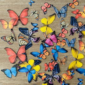 http://www.littlegift.com.au/2167-thickbox/colourful-butterfly.jpg