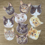 Cat Sticker