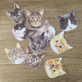 http://www.littlegift.com.au/2433-thickbox/cat-sticker.jpg