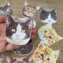 Cat Sticker