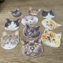 Cat Sticker